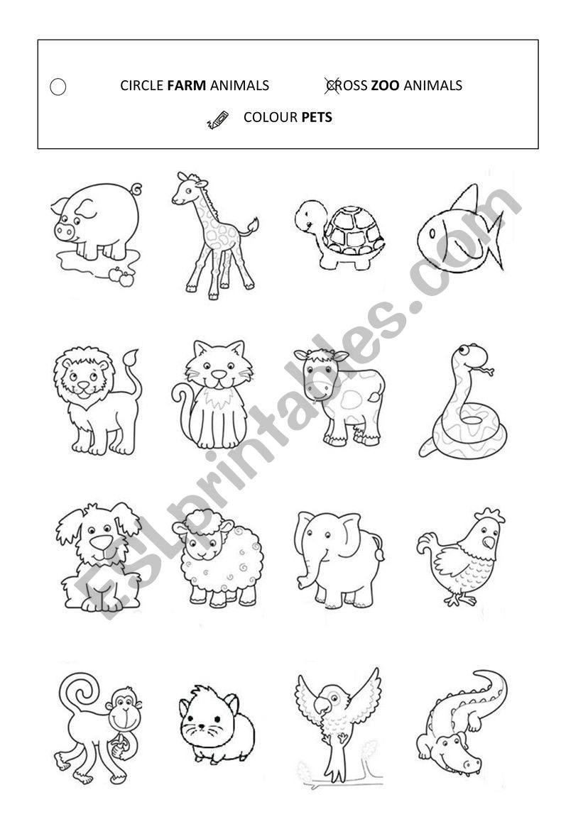 animals worksheet