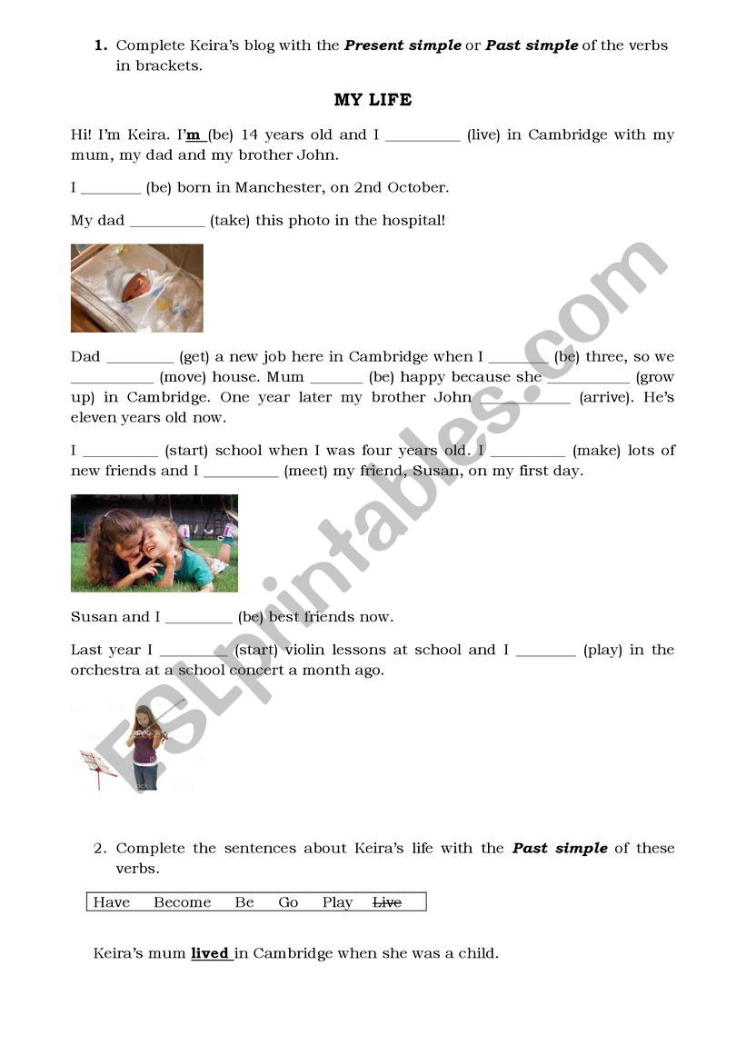 Reading comprehension worksheet