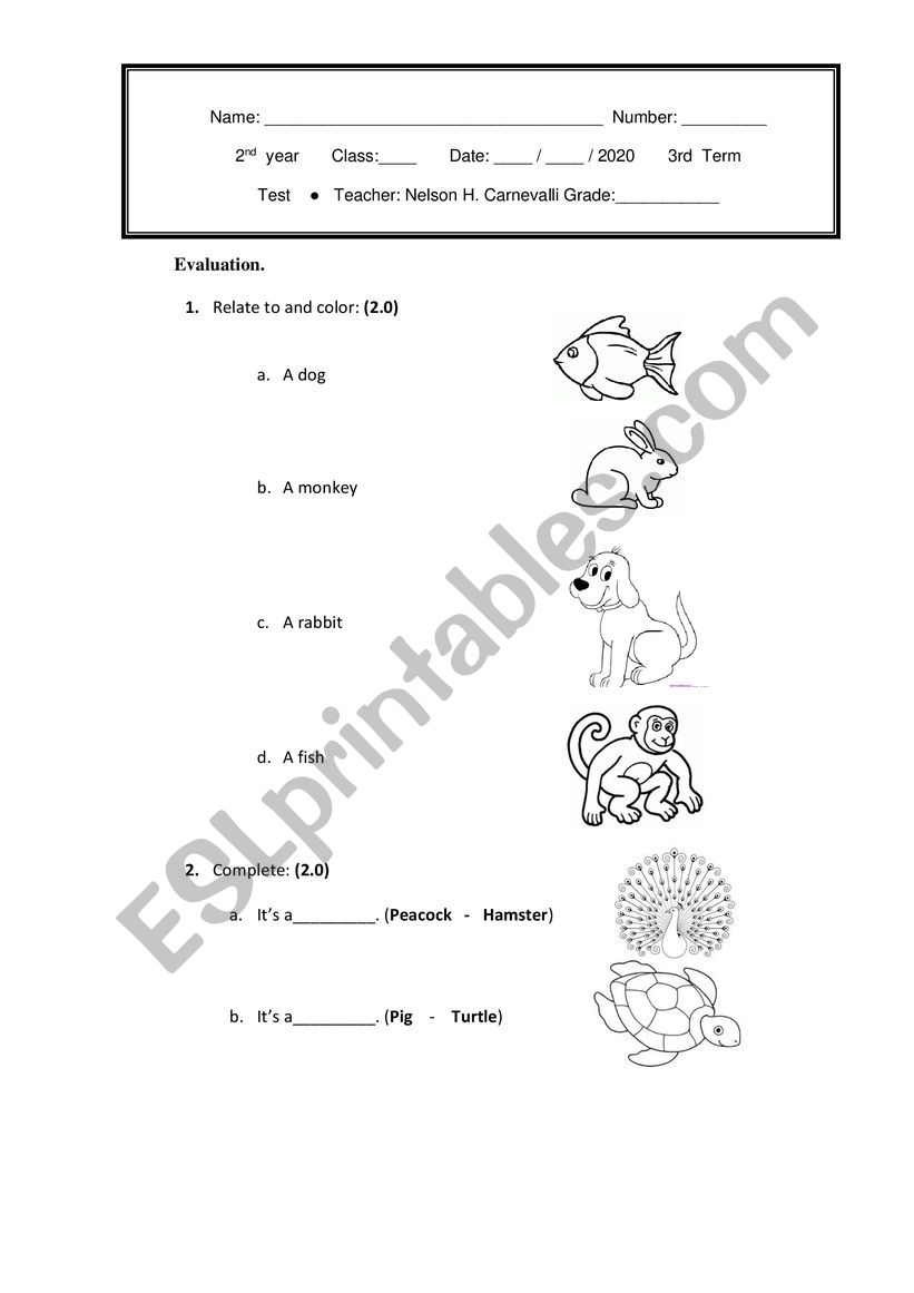 Test elementary school 2nd grade