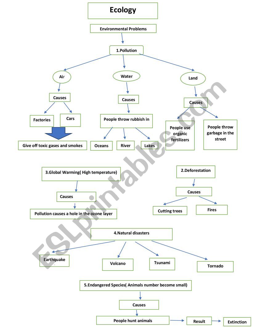 Ecology and Environment worksheet