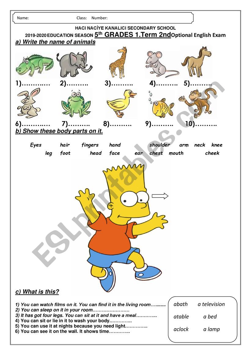 English exam for elementary students