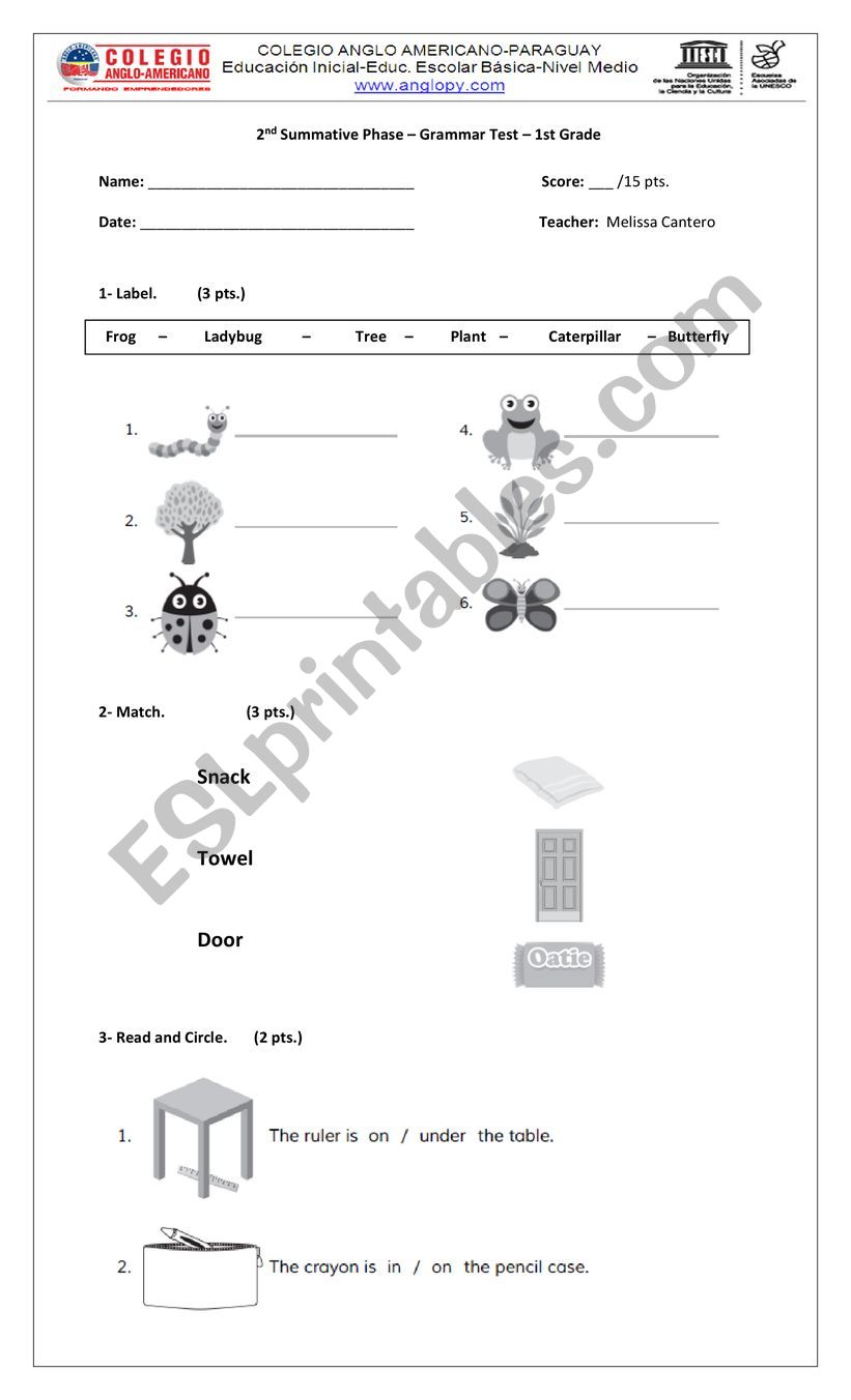 Grammar Examn for 1st Grade worksheet