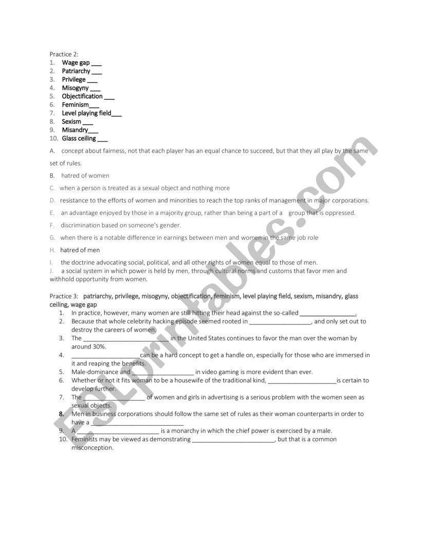 Equality Vocabulary Worksheet (Matching and Fill in the blank)