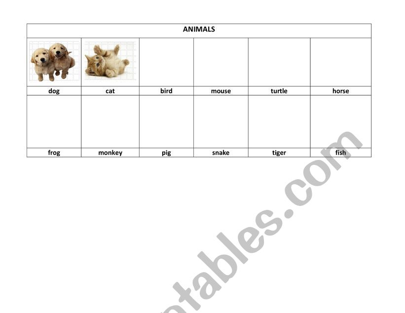 animals  worksheet