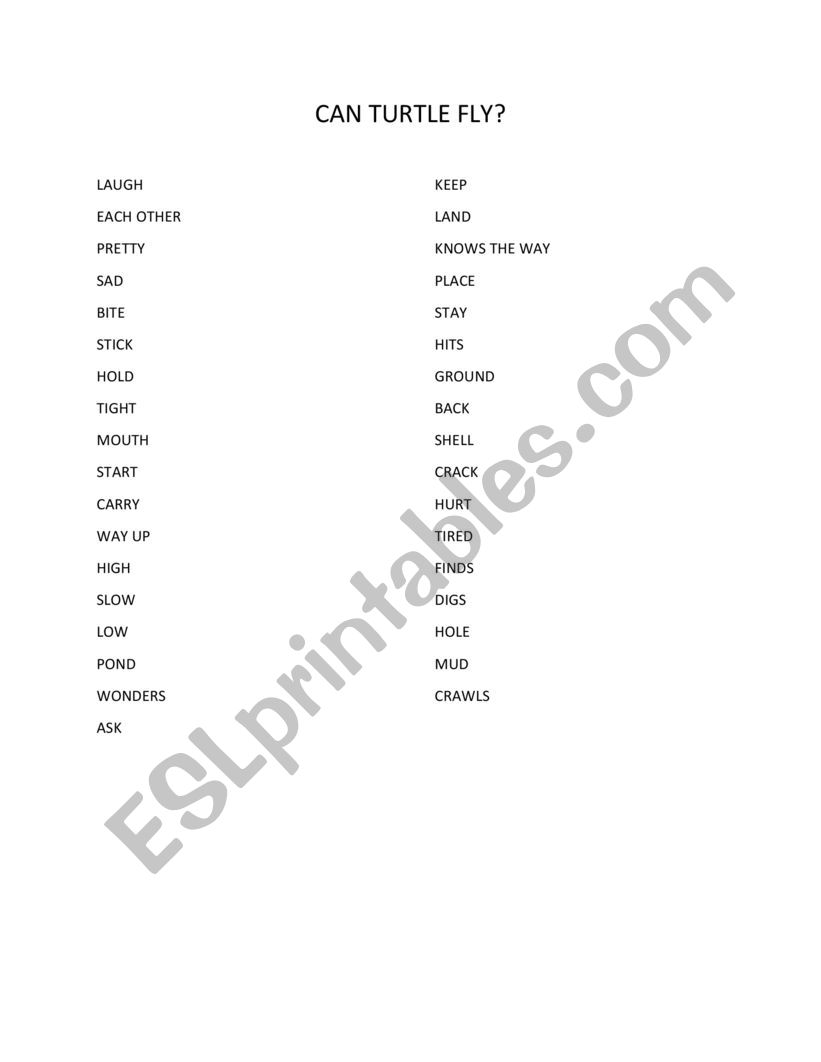 can turtles fly worksheet