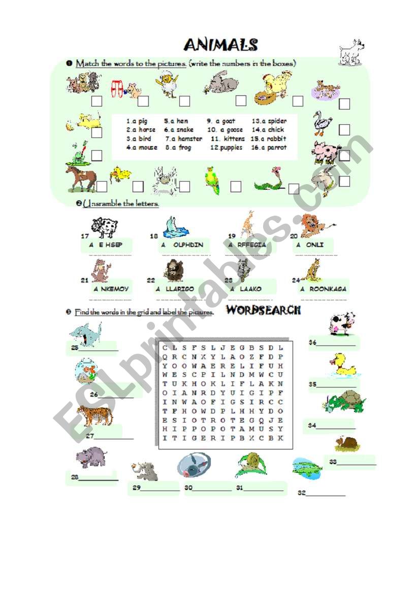 Animals worksheet  vocabulary (36 words)