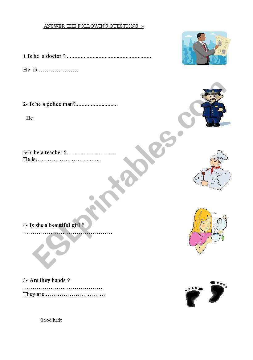 yes - no questions  worksheet