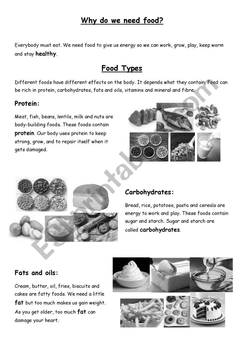 Types of food worksheet