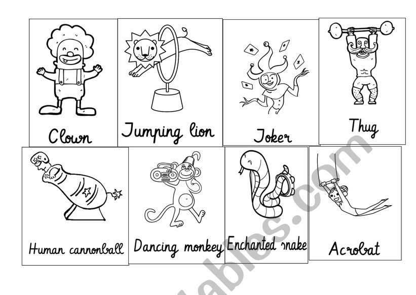 At the cirucs worksheet