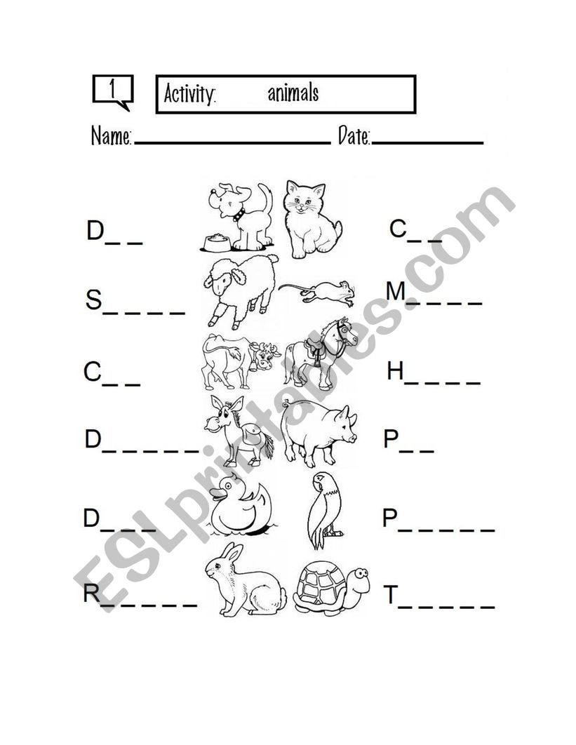 Animals worksheet