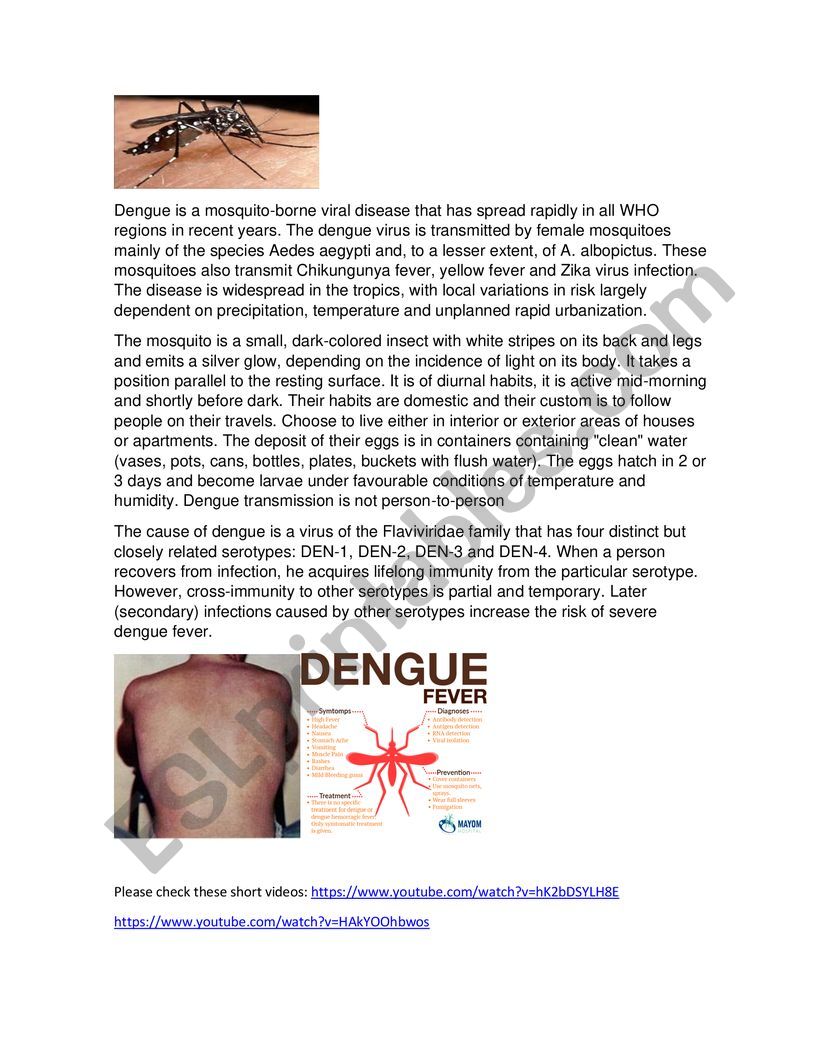 DENGUE A SILENT KILLER worksheet