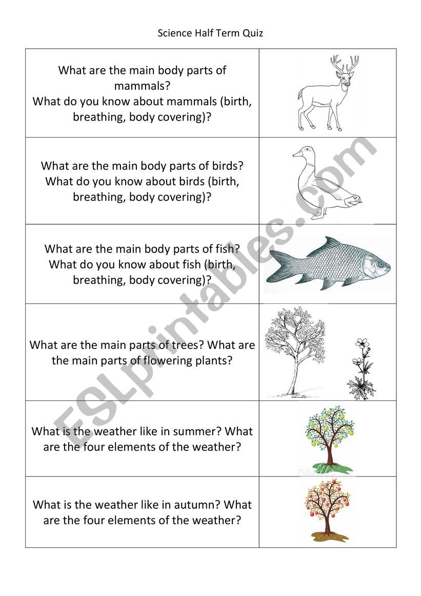 science esl worksheet by horvath13