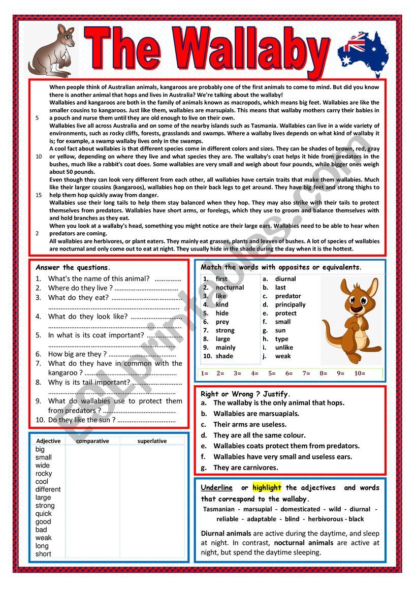The Wallaby - Reading + varied exercises + KEY and teacher�s notes
