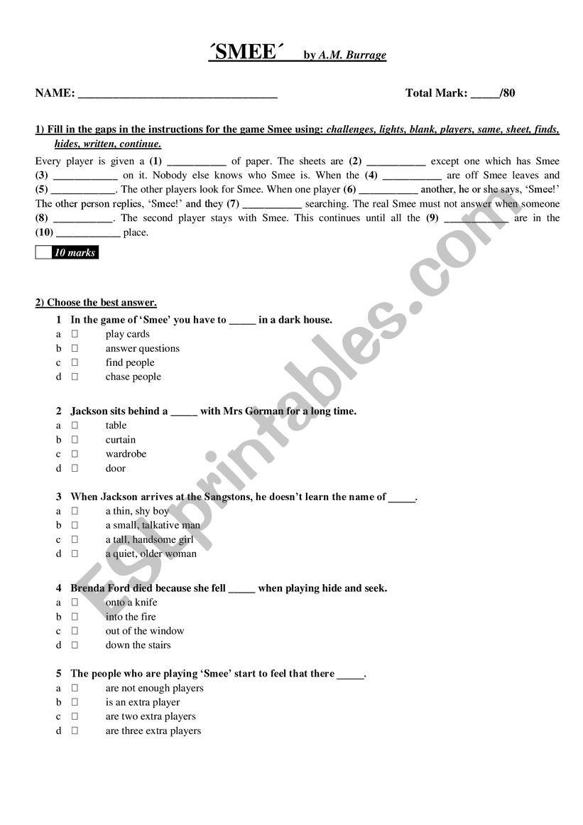 SMEE - Activities worksheet
