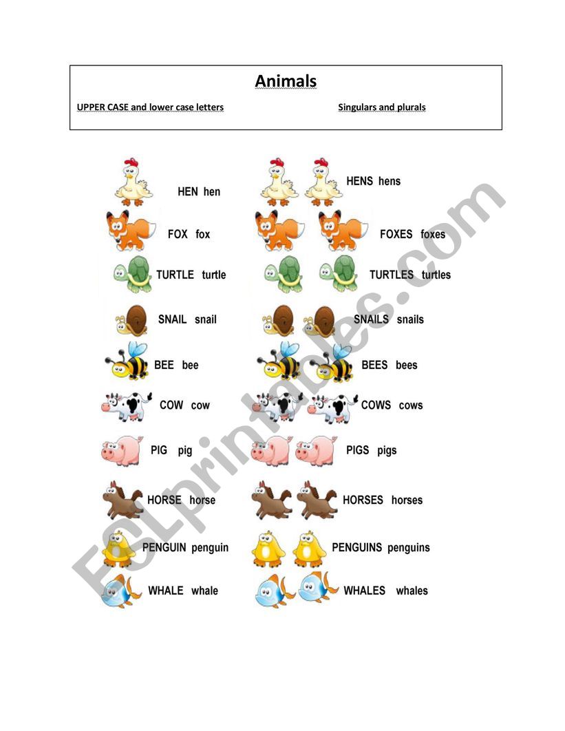 Upper case and lower case letters- Animals- Singular and Plural - ESL  worksheet by moniabi