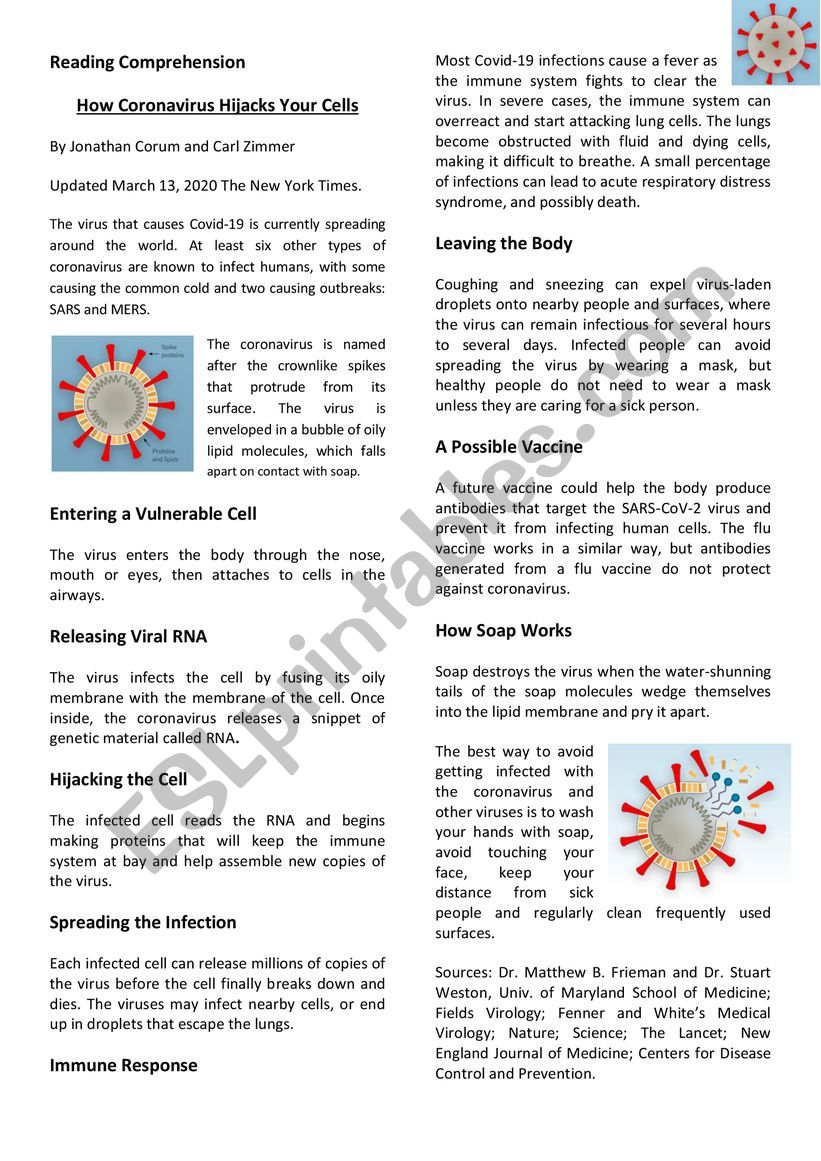 COVID-19 A new Coranovirus worksheet