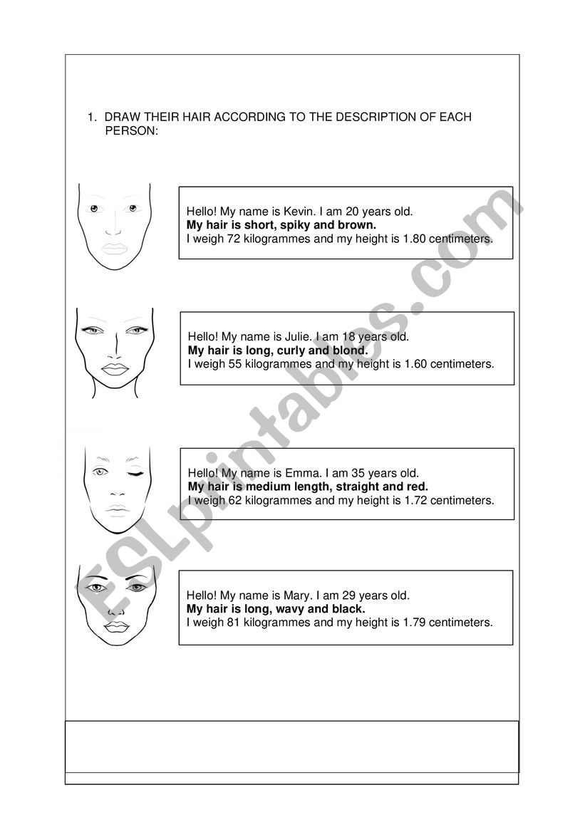 HAIR TYPES worksheet HAIR TYPES worksheet