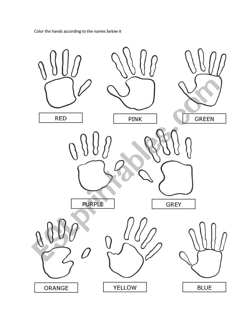 Colors Activity worksheet