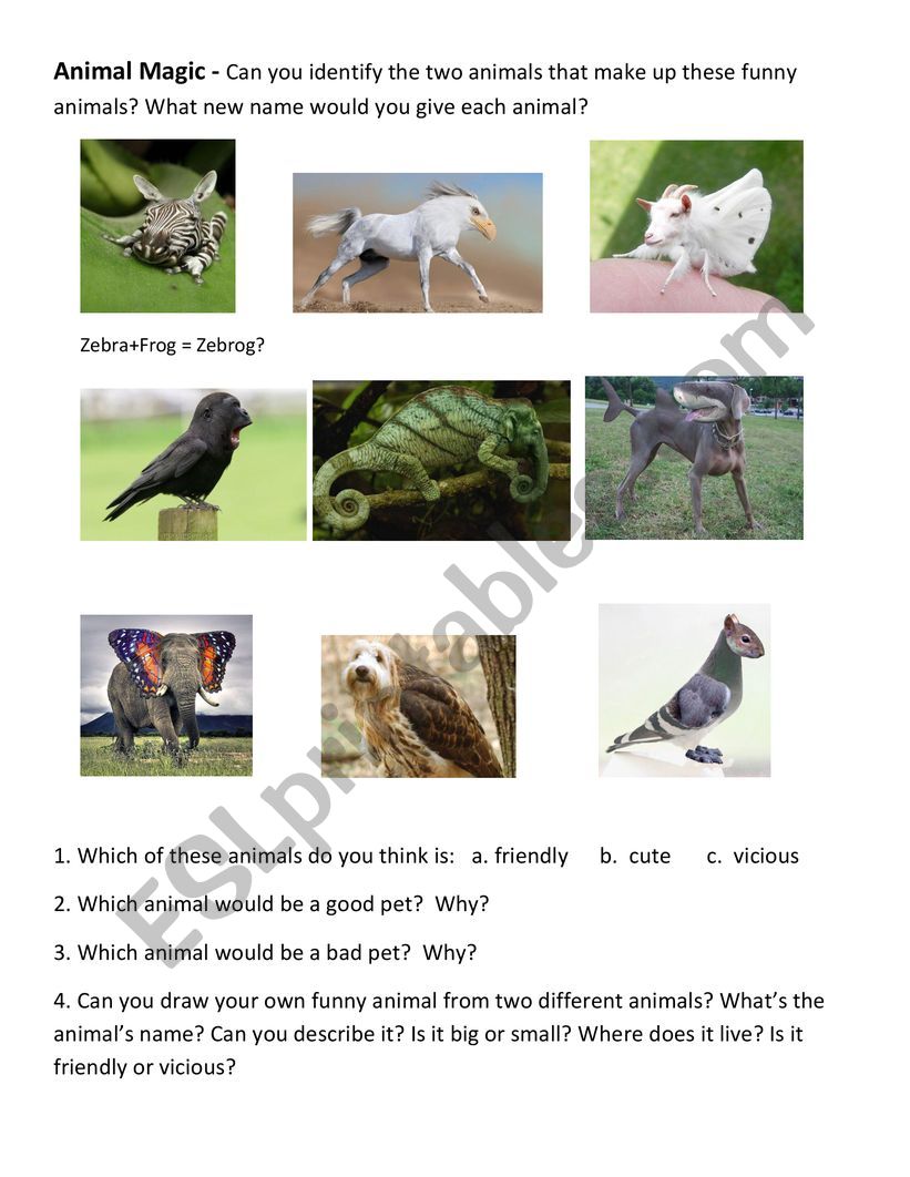 Animal Magic Elementary worksheet
