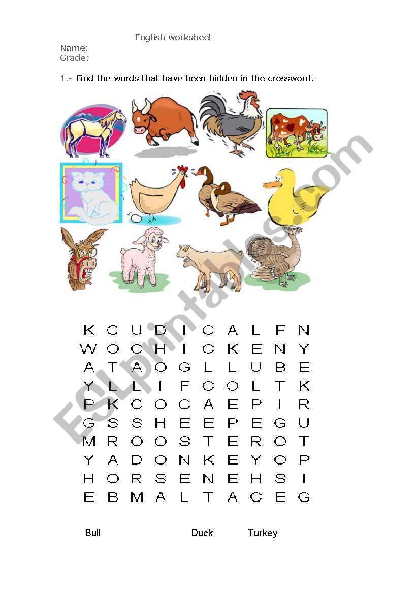 Words animals worksheet