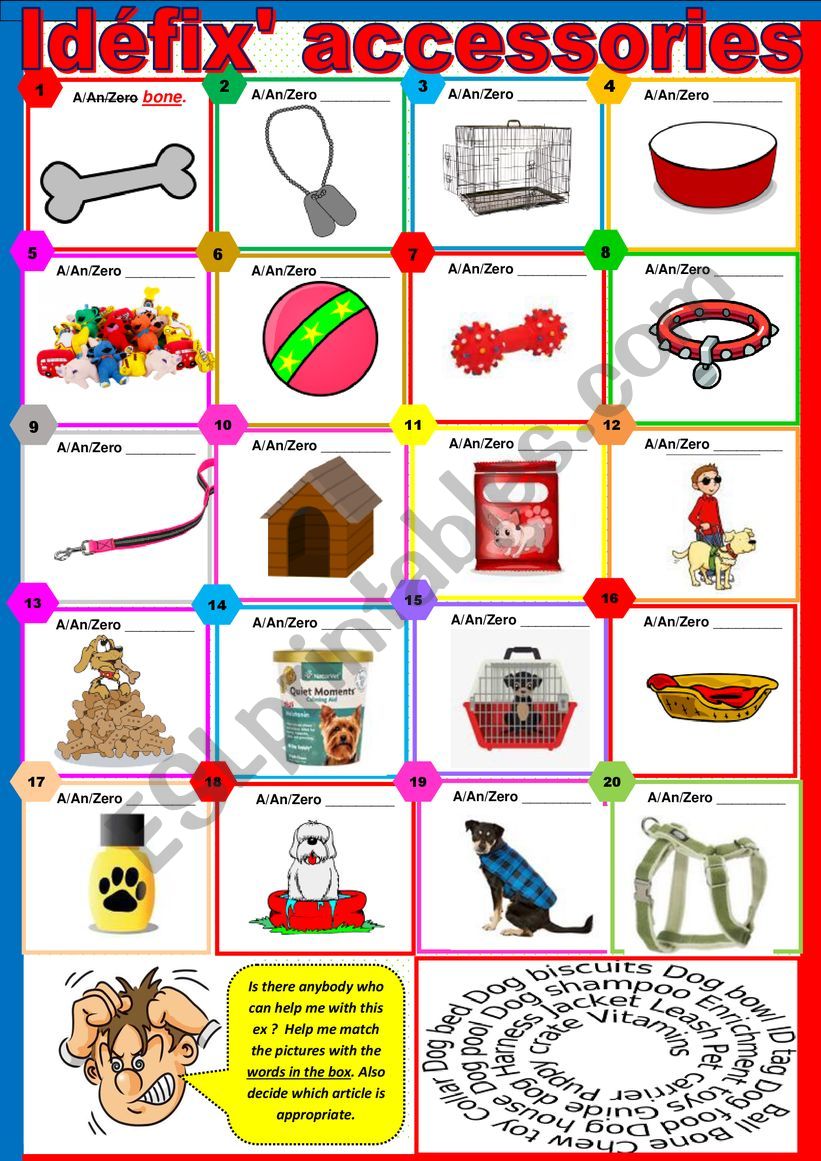 Idefix� accessories - Matching vocabulary - A / an /zero article.