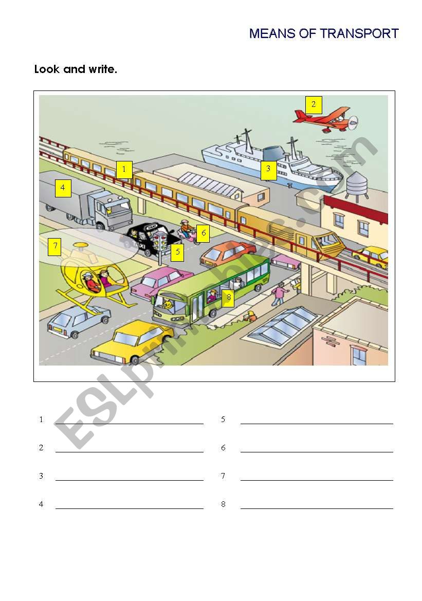 transport worksheet