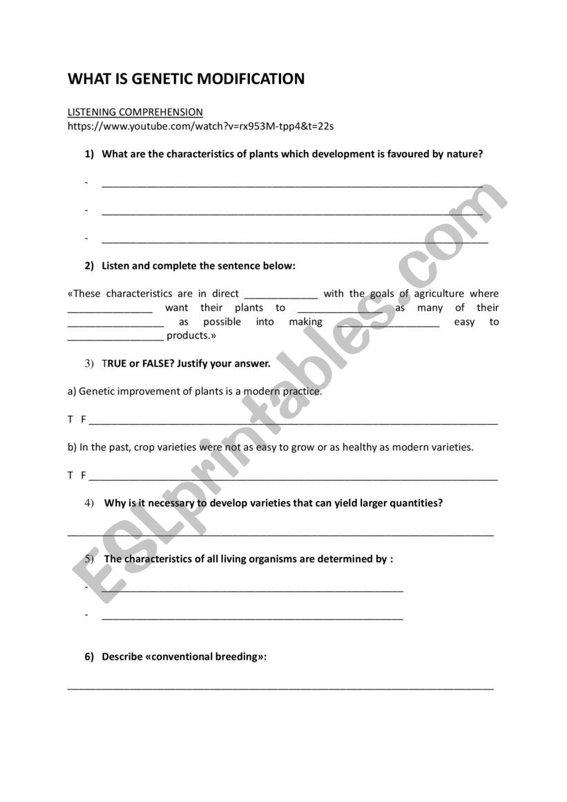 What is Genetic Modification? worksheet