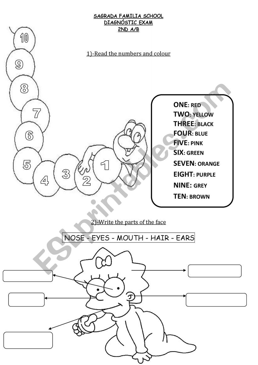 COLOURS NUMBERS AND PARTS OF THE FACE