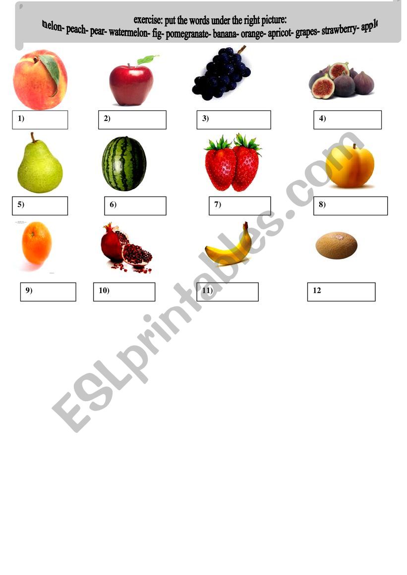 Fruits exercise worksheet