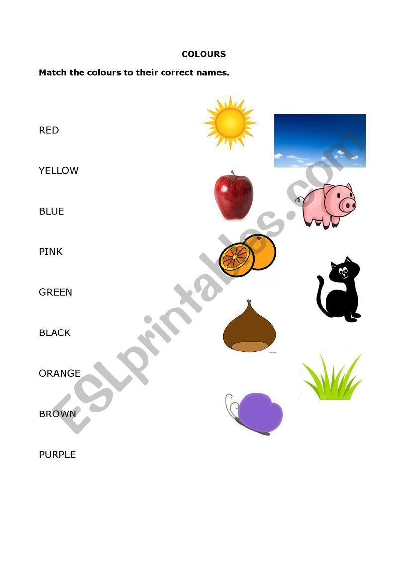 Colours worksheet