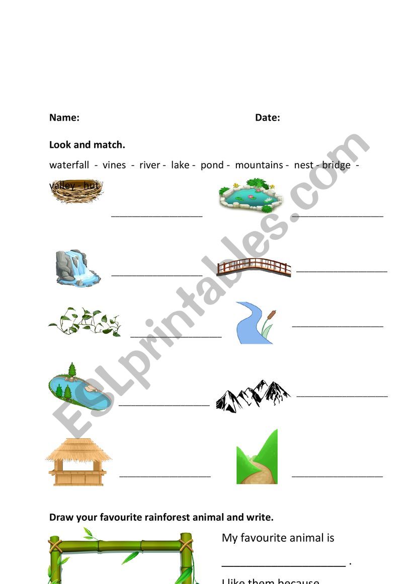 Nature Vocabulary worksheet