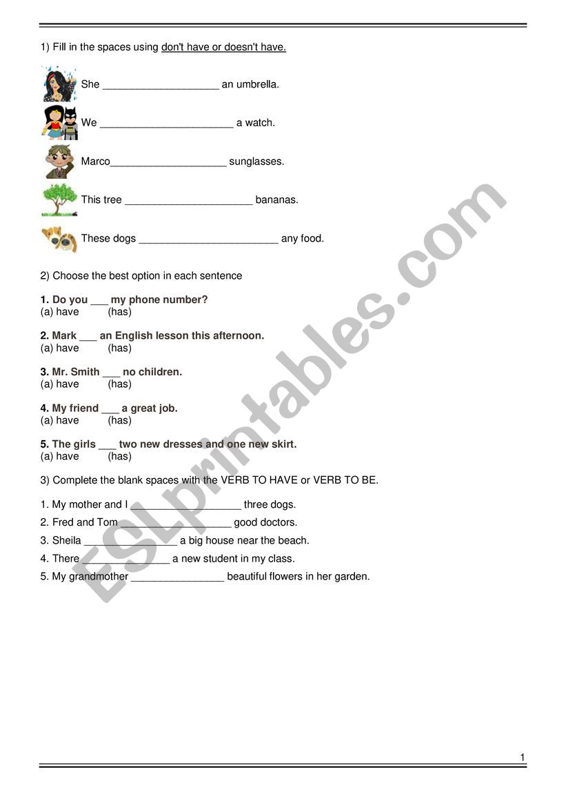TO HAVE  worksheet