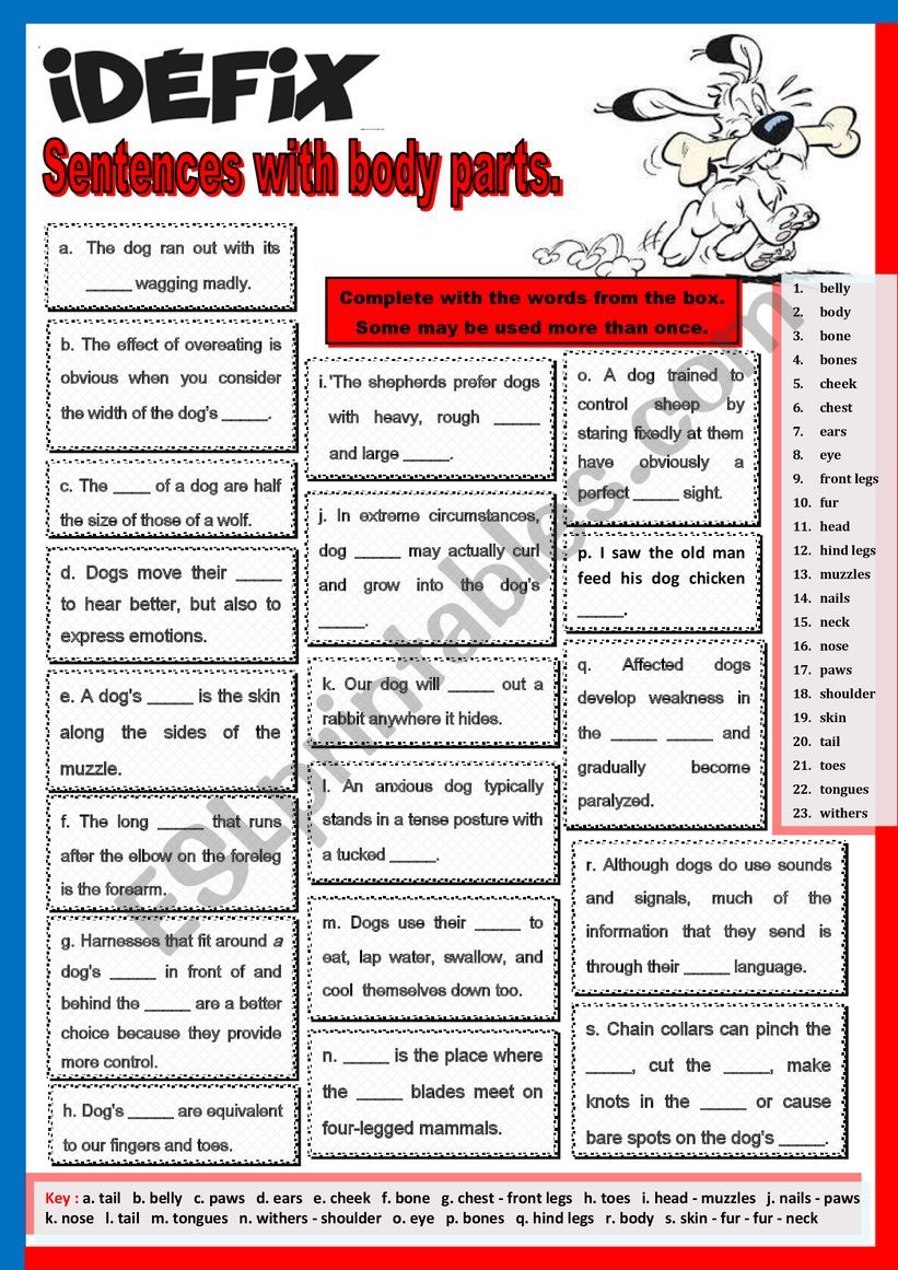 Idefix - Sentences with body parts. + KEY 