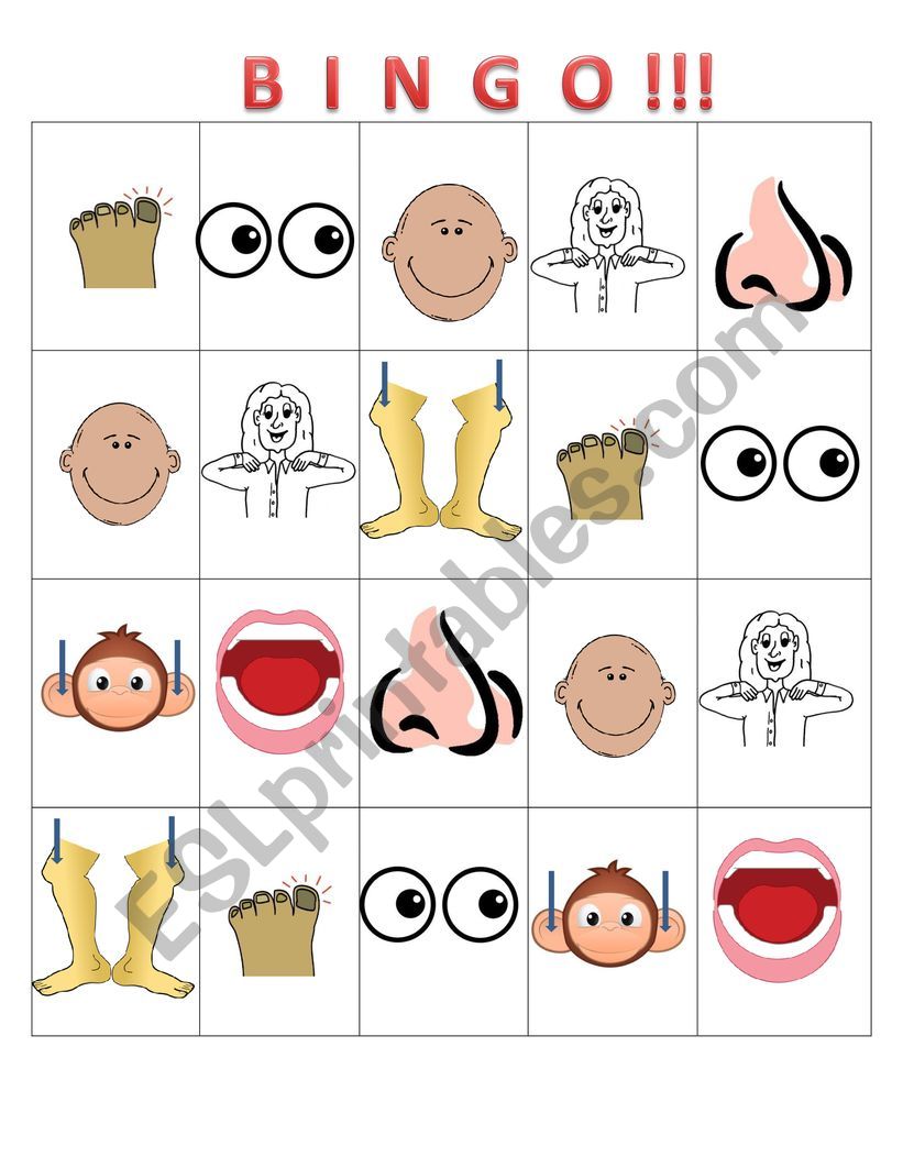 Body Part Bingo Cards worksheet