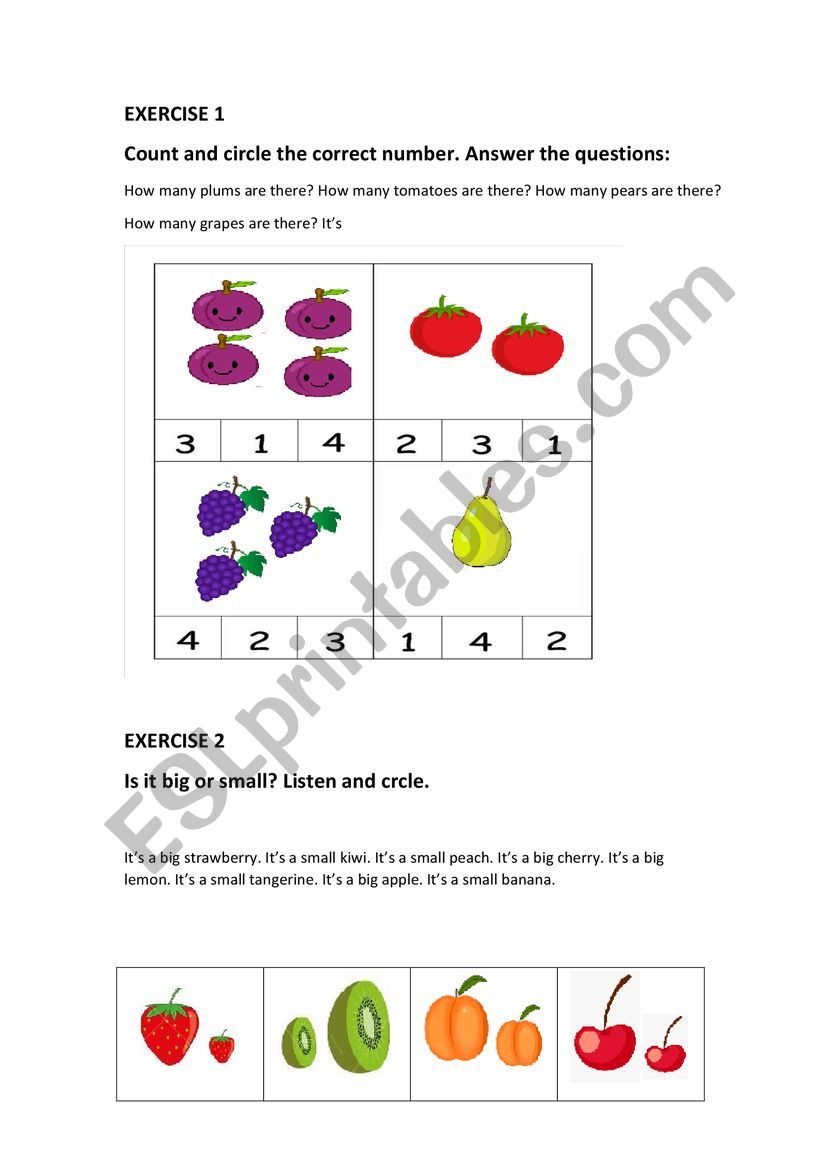 fruit worksheet