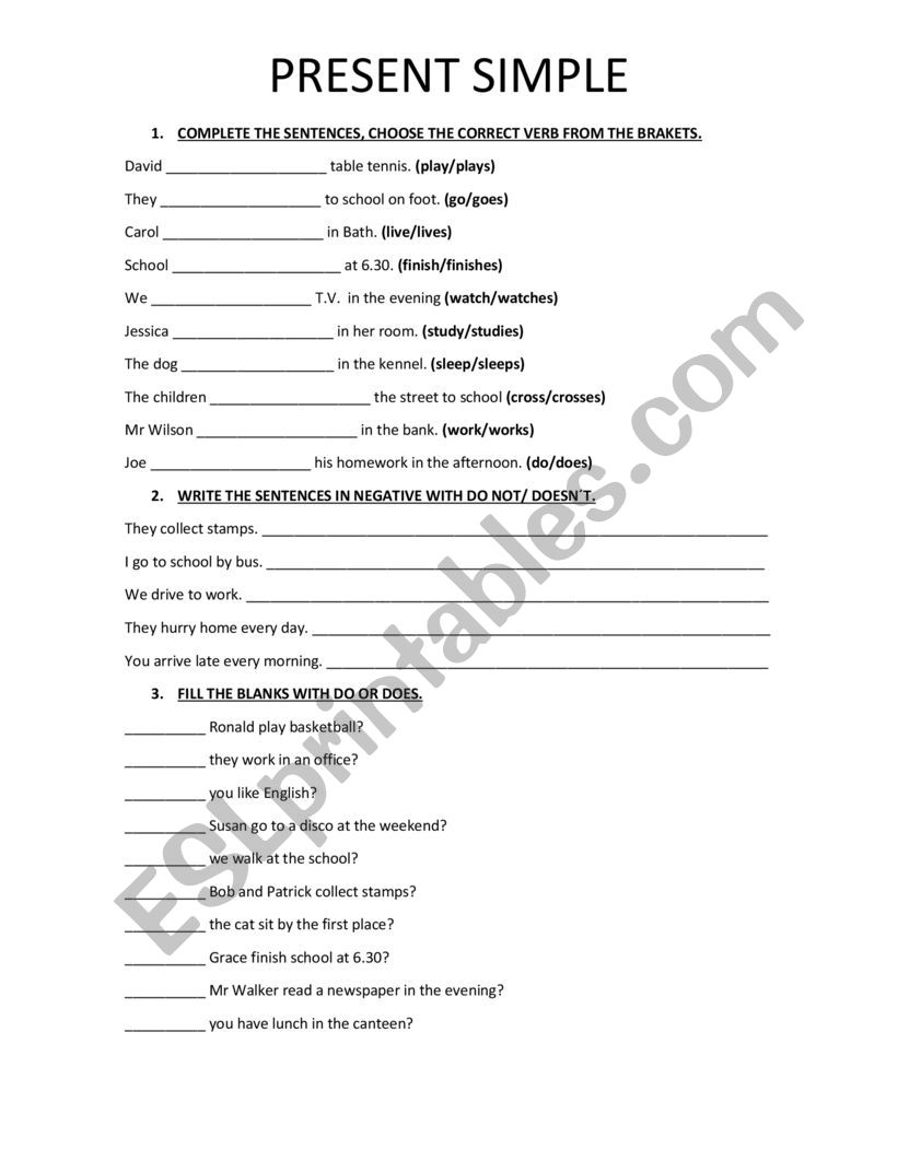 Present simple worksheet