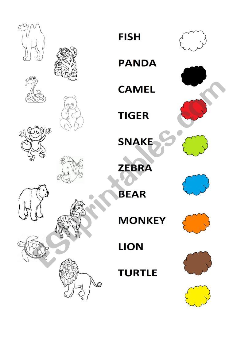 ZOO animals - ESL worksheet by Vicky_13
