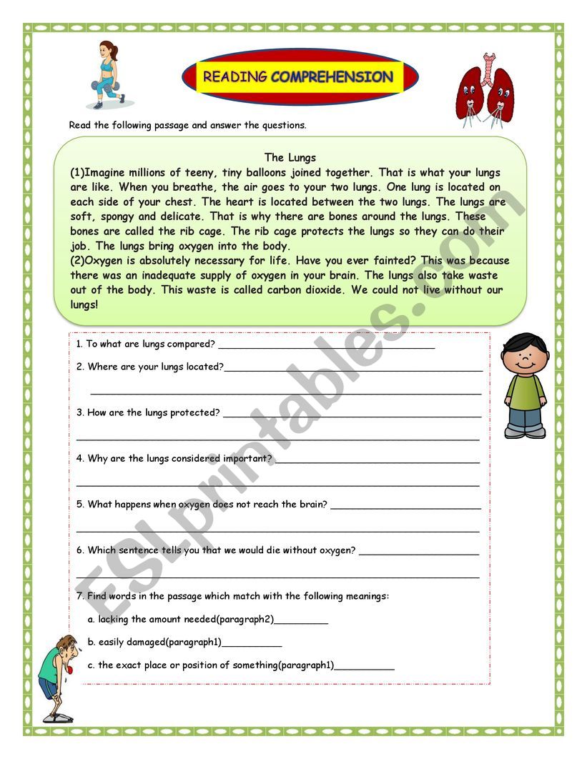 The Lungs worksheet
