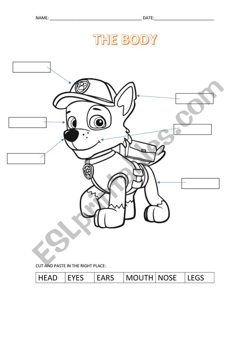 Body parts worksheet