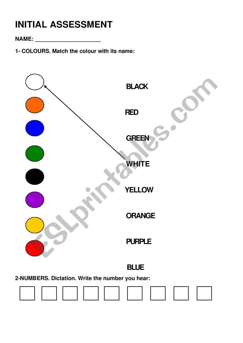 Initial assessment worksheet