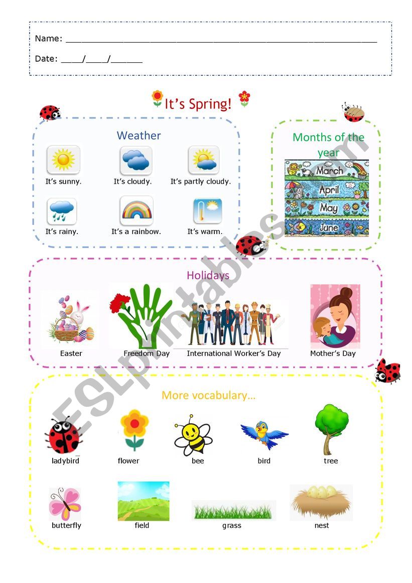 Spring worksheet