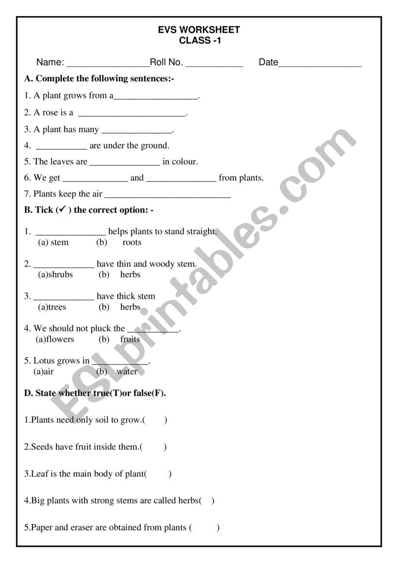 ENVIORNMENTAL SCIENCE worksheet