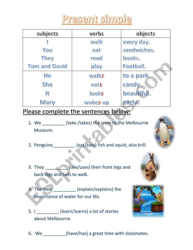 present simple worksheet worksheet