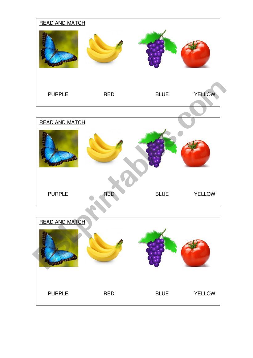 Colours worksheet