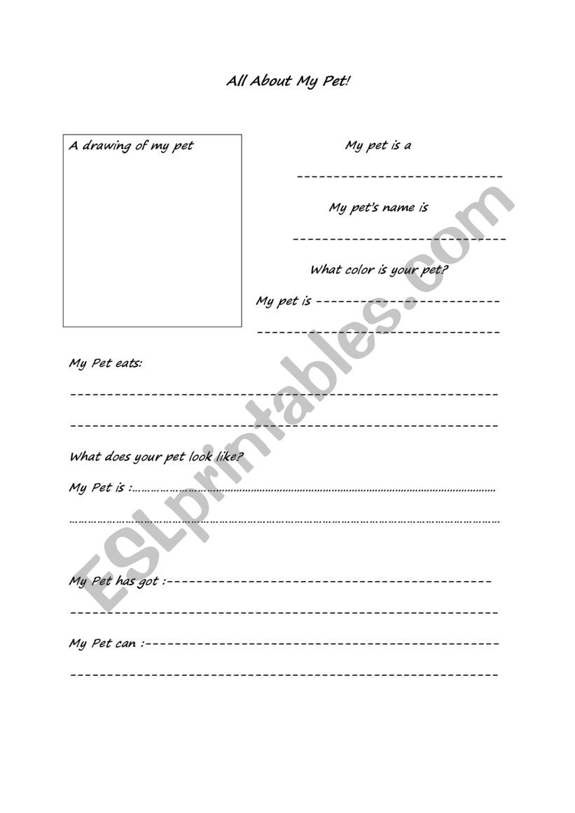 all about my pet worksheet