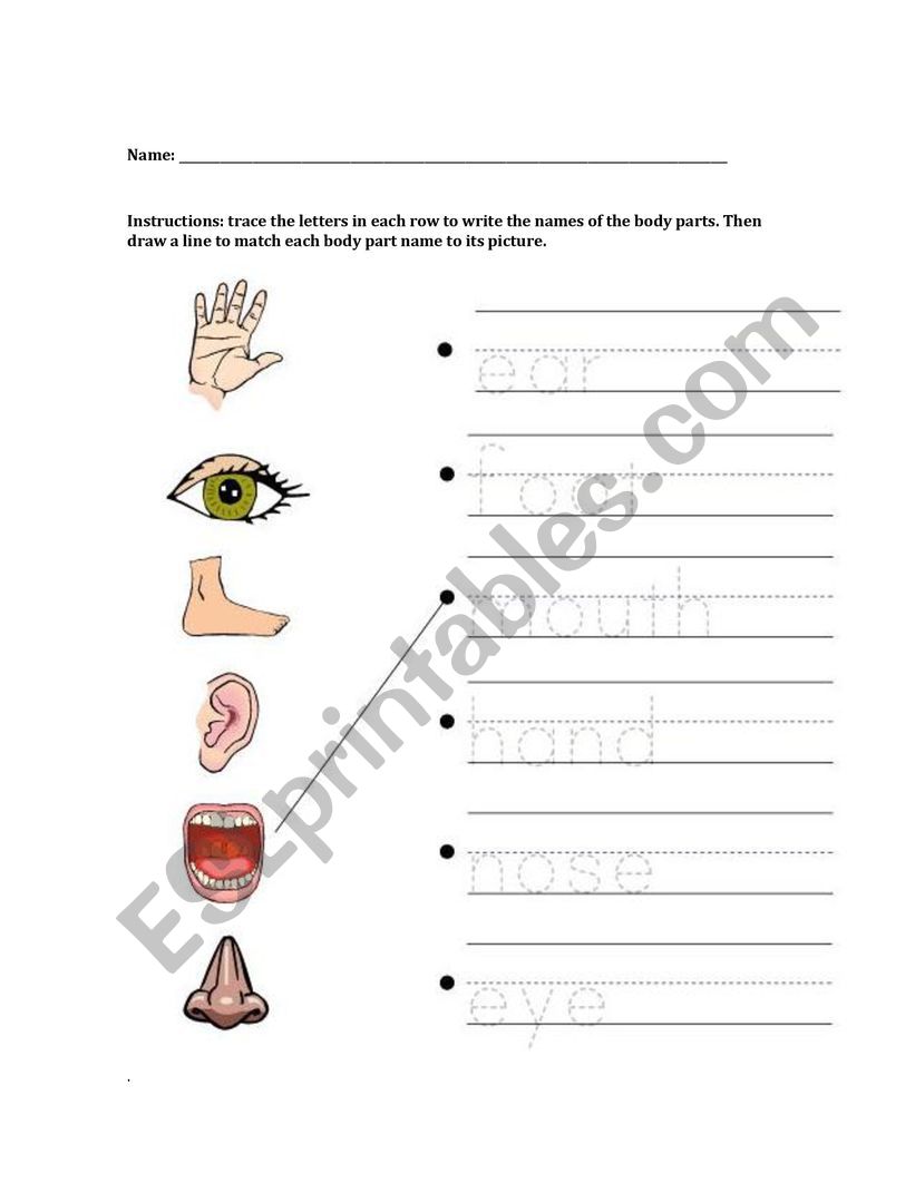 5 senses worksheet