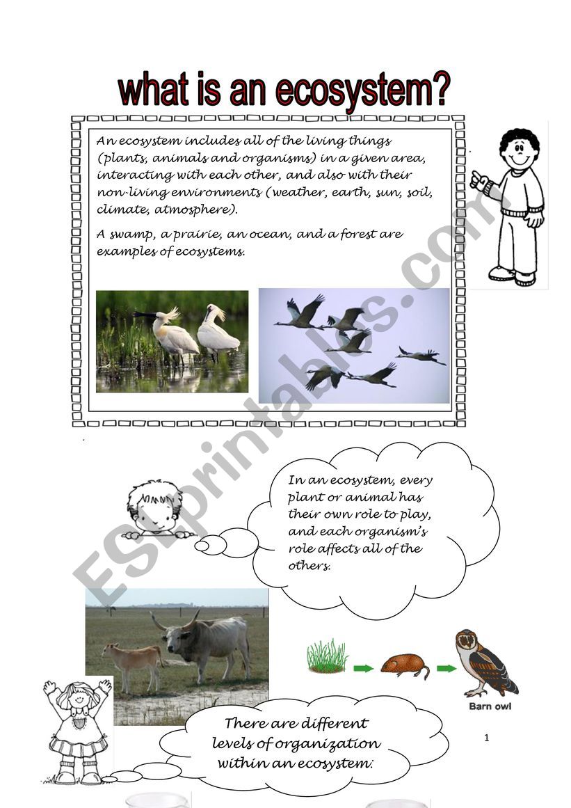 free-printable-ecosystem-worksheets-pdf-printable-templates