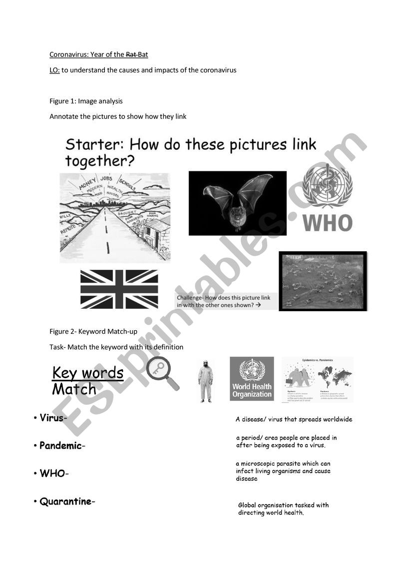 Coronavirus Booklet worksheet