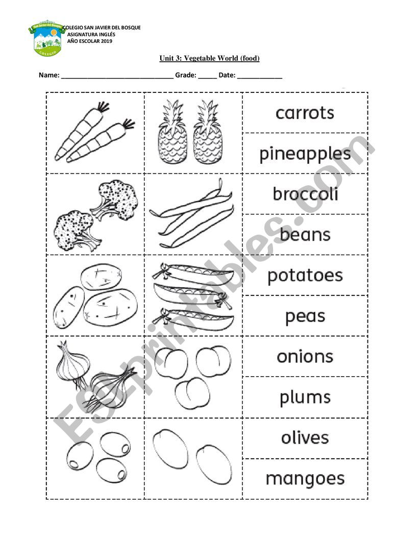 food vocabulary worksheet