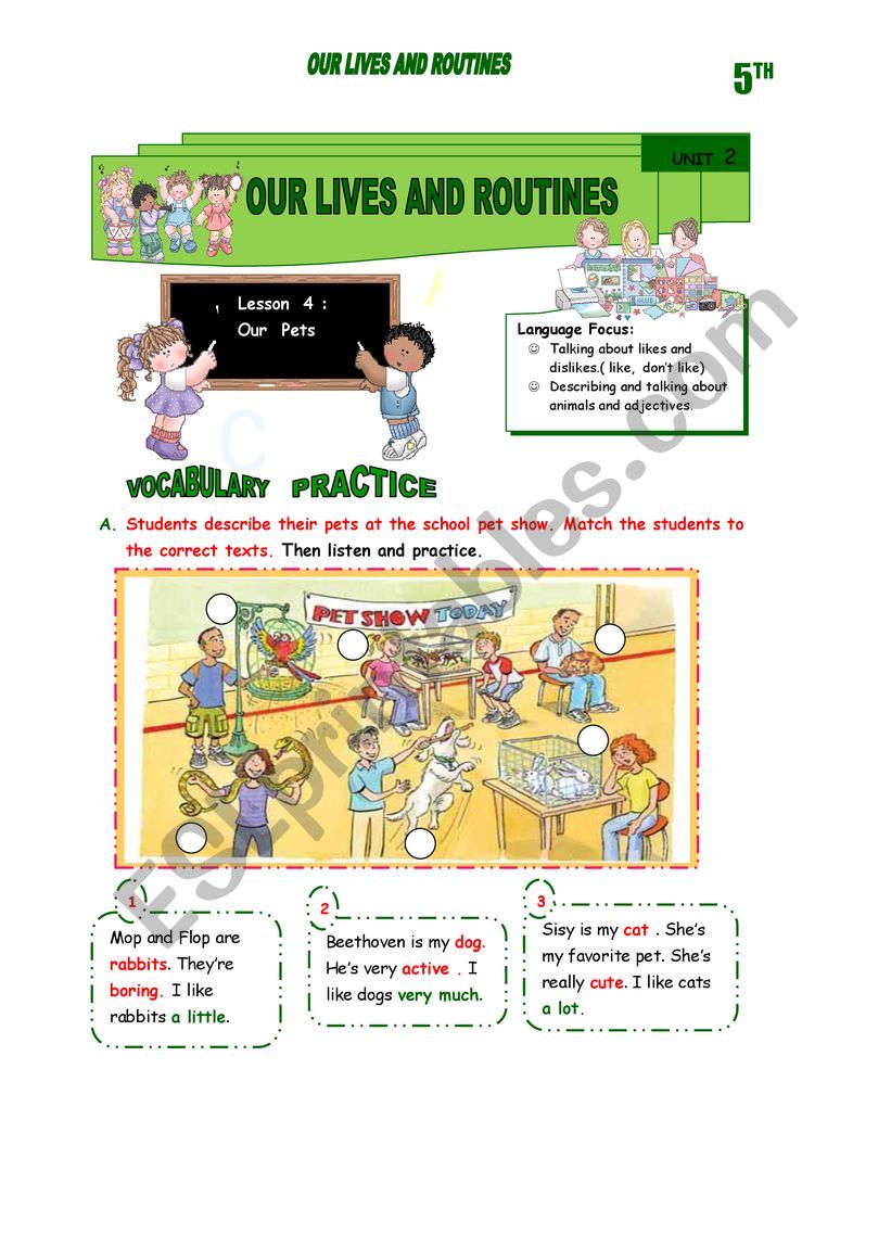 OUR LIVES AND ROUTINES worksheet